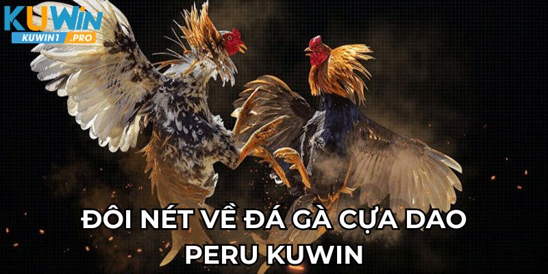 Đôi nét về đá gà cựa dao Peru Kuwin